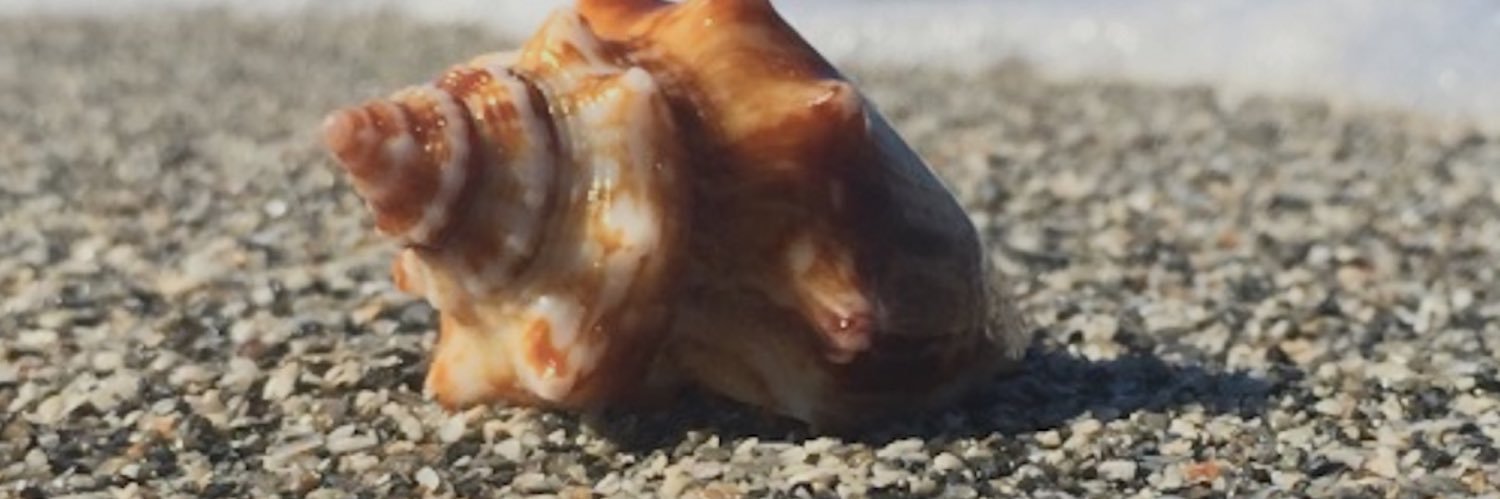 Stacey Snyder banner