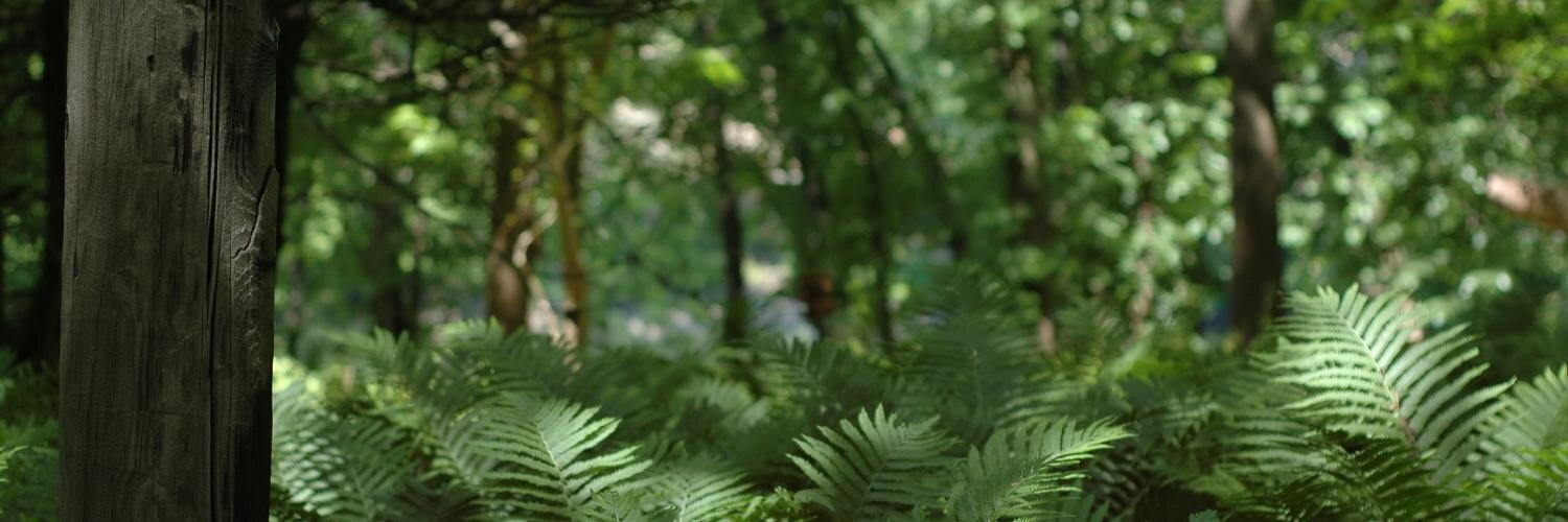 SOG_Nikon's profile banner image