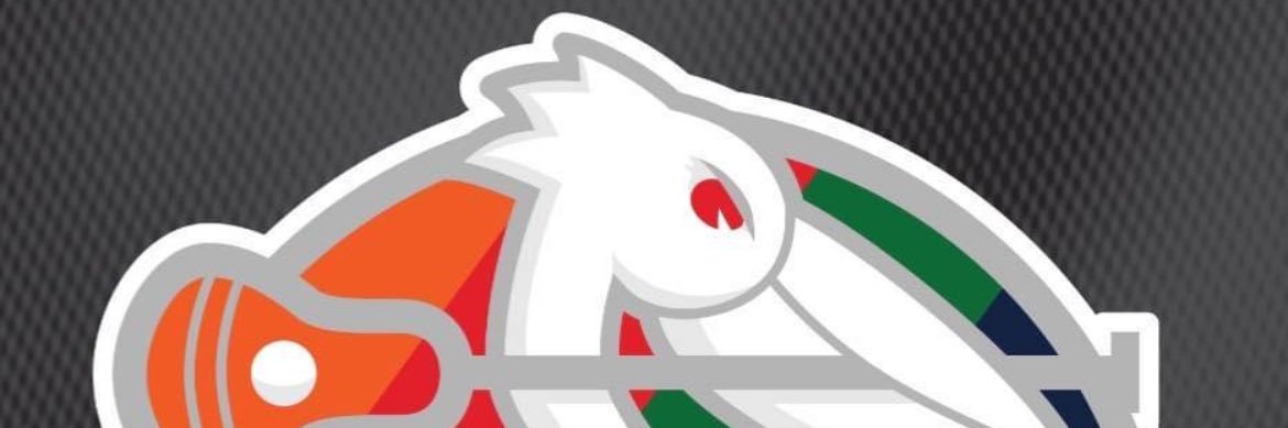 St. Pete Lax Training banner