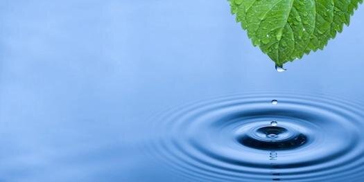 WeCleanGreen's profile banner image