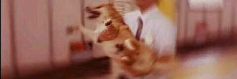 FabiiFeels's profile banner image