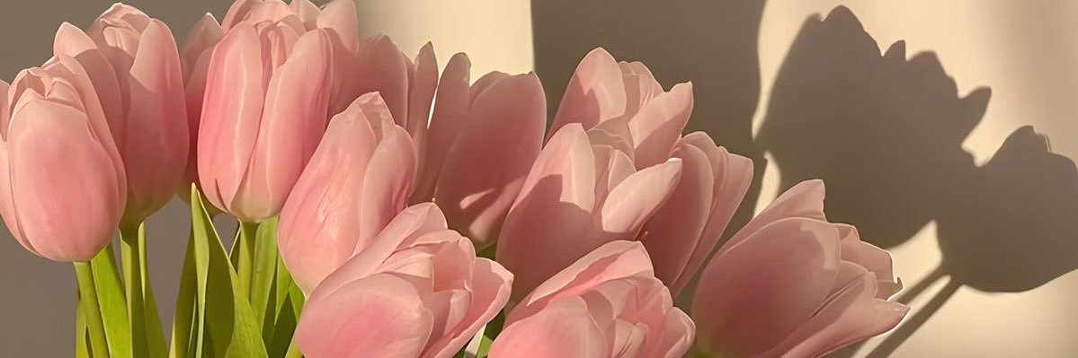 eCluDArellano's profile banner image