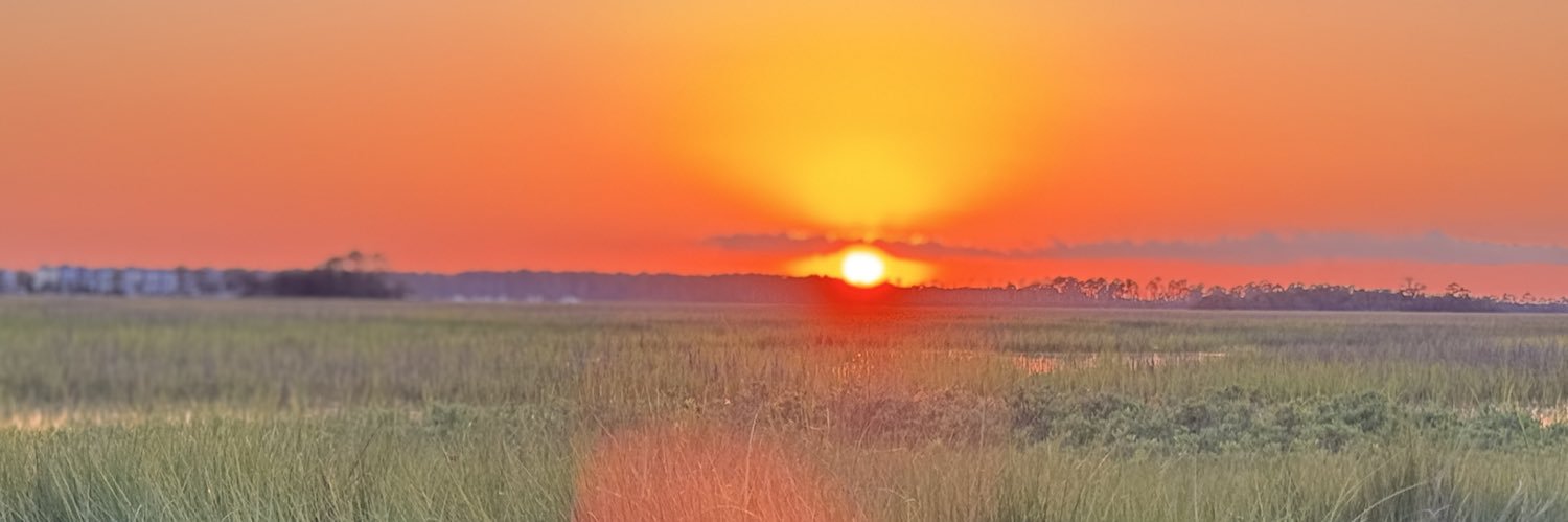 lisa_jshere's profile banner image
