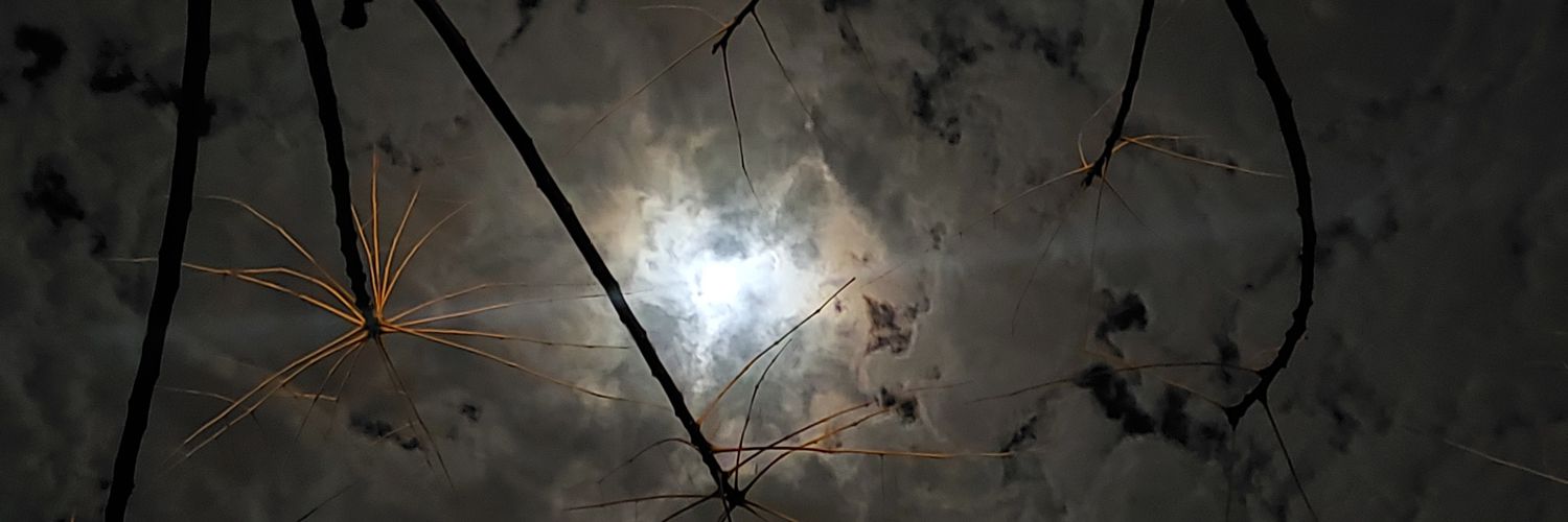 JuanHumoller's profile banner image