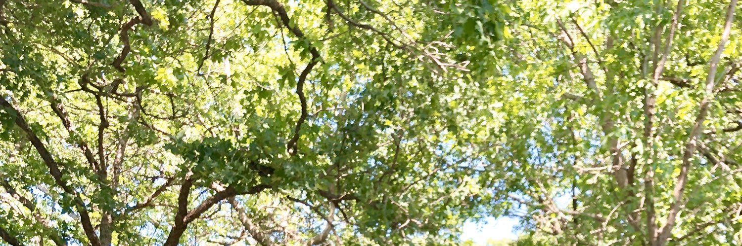 Laura Dechert banner