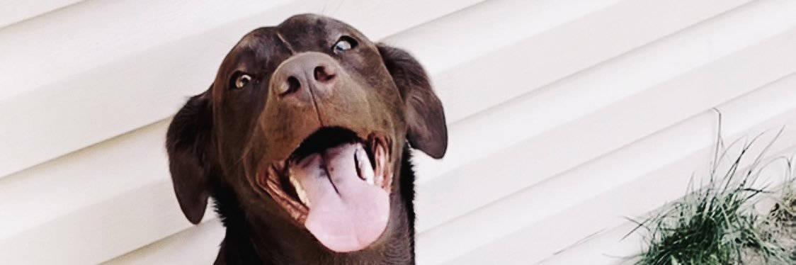 tiara_bum's profile banner image