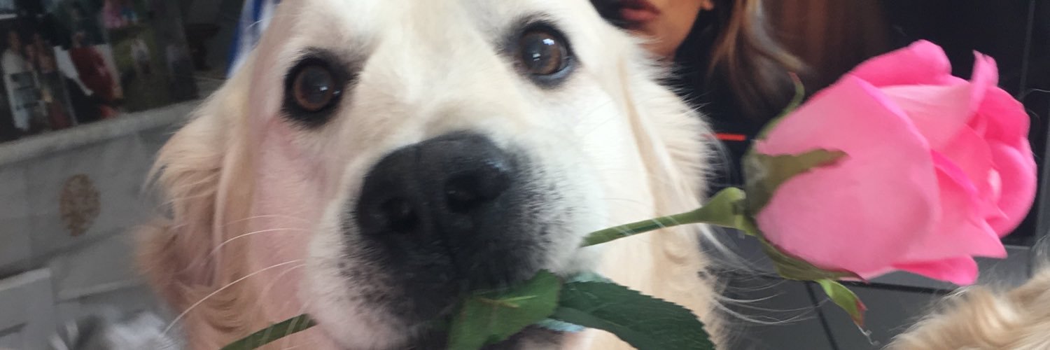 adeleditch89's profile banner image