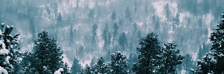 averibball's profile banner image