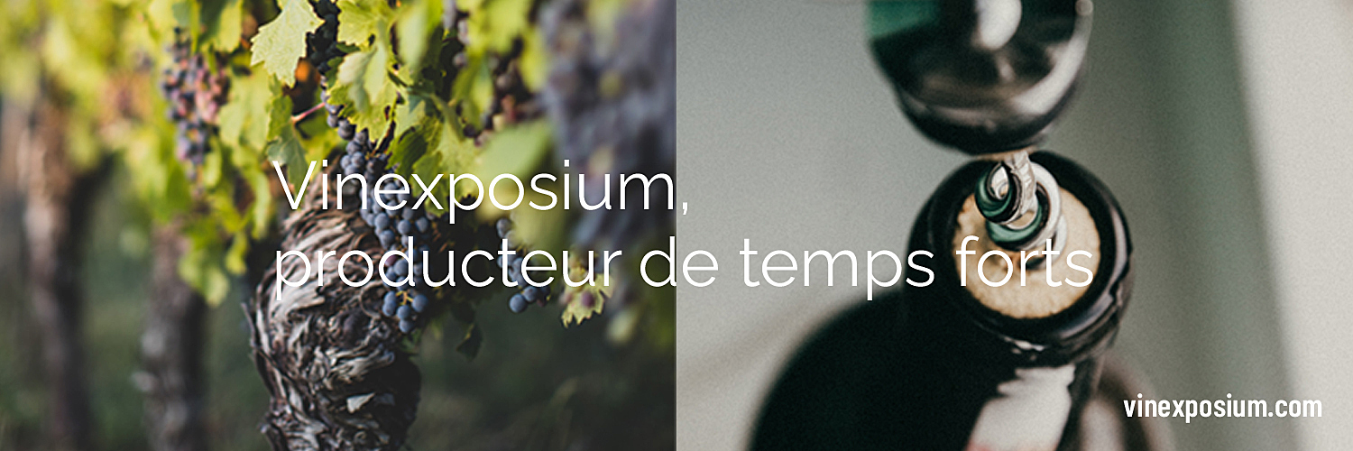 vinexposium's profile banner image