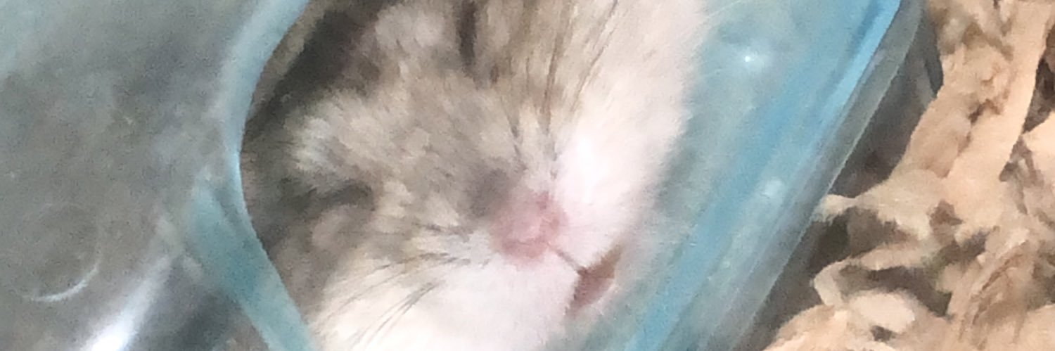 ssin_1015's profile banner image