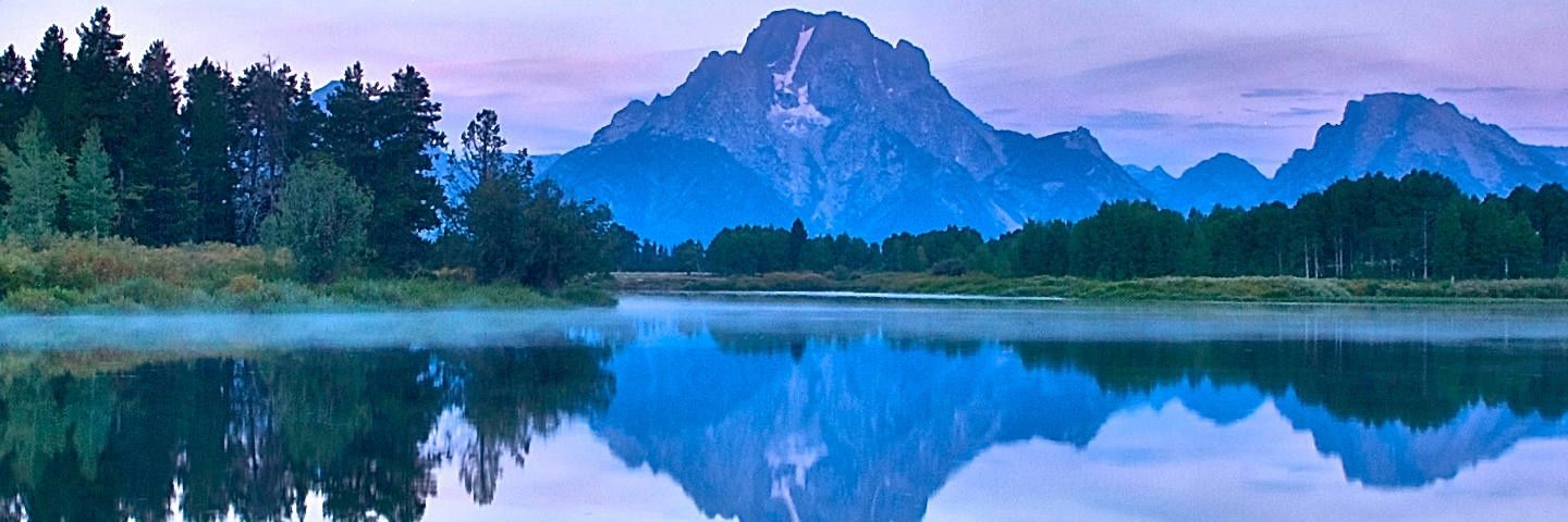 Abdelmuti Barghouthi banner