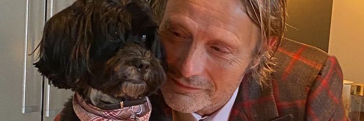 lovemeyr's profile banner image