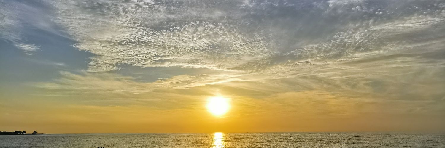 elleceintures's profile banner image