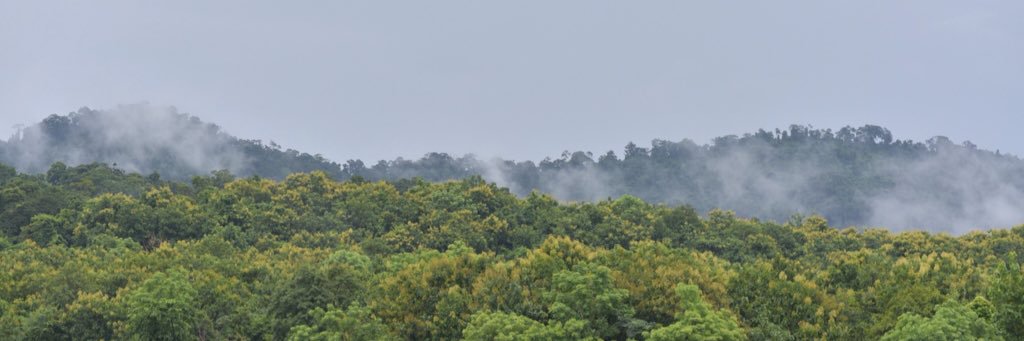 landnan's profile banner image