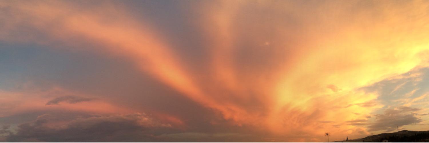 Luca Carlucci banner