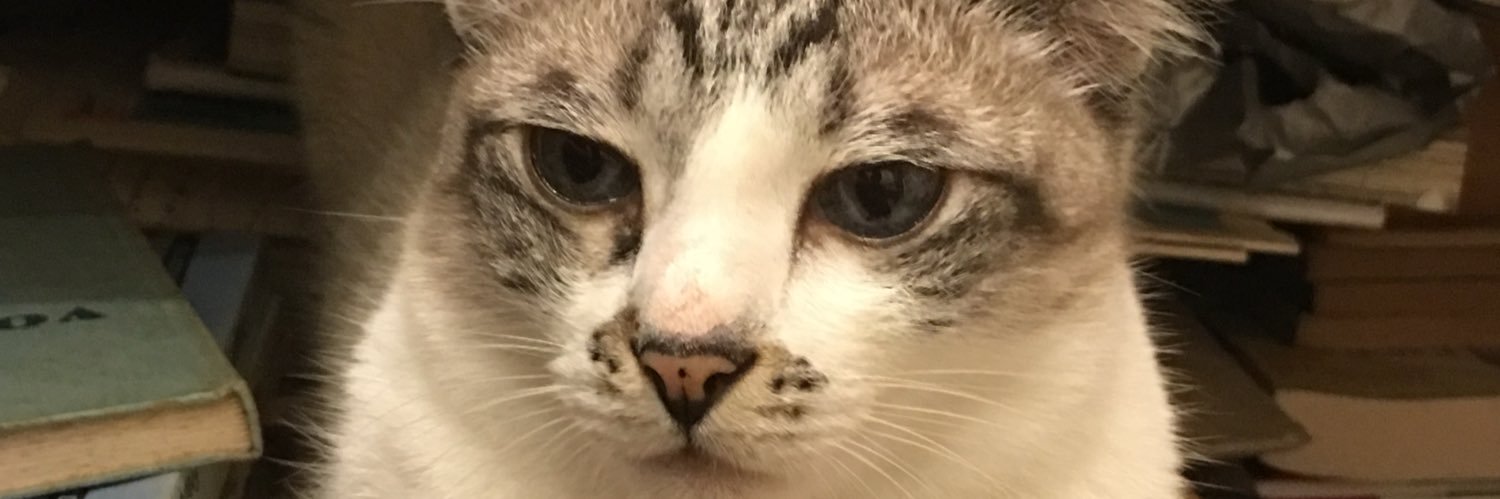 caketheking's profile banner image
