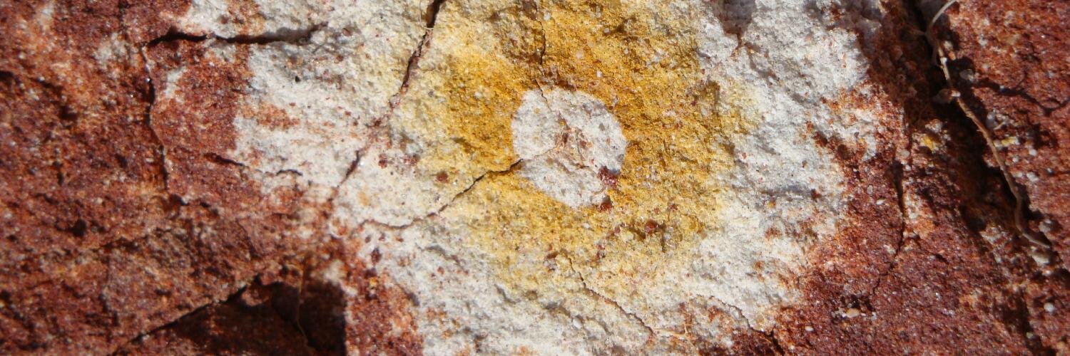 Eric van Hullebusch banner