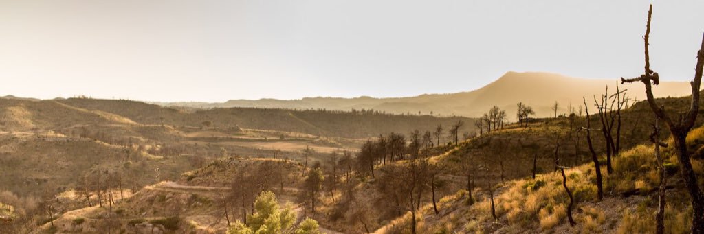 Aleix López Simón banner