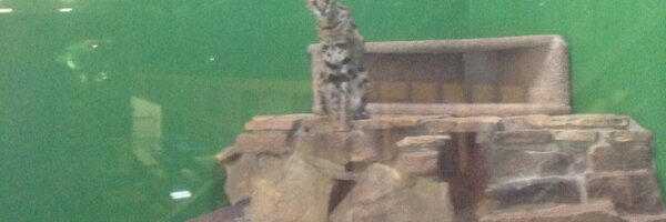 rhythmicity Profile Banner