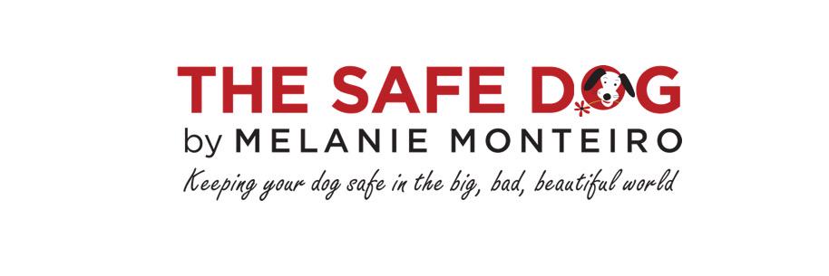 MelanieMonteiro's profile banner image