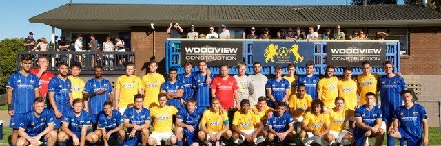 Mt Albert Ponsonby Football Club banner