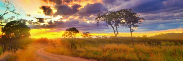 WesternDownsRC Profile Banner