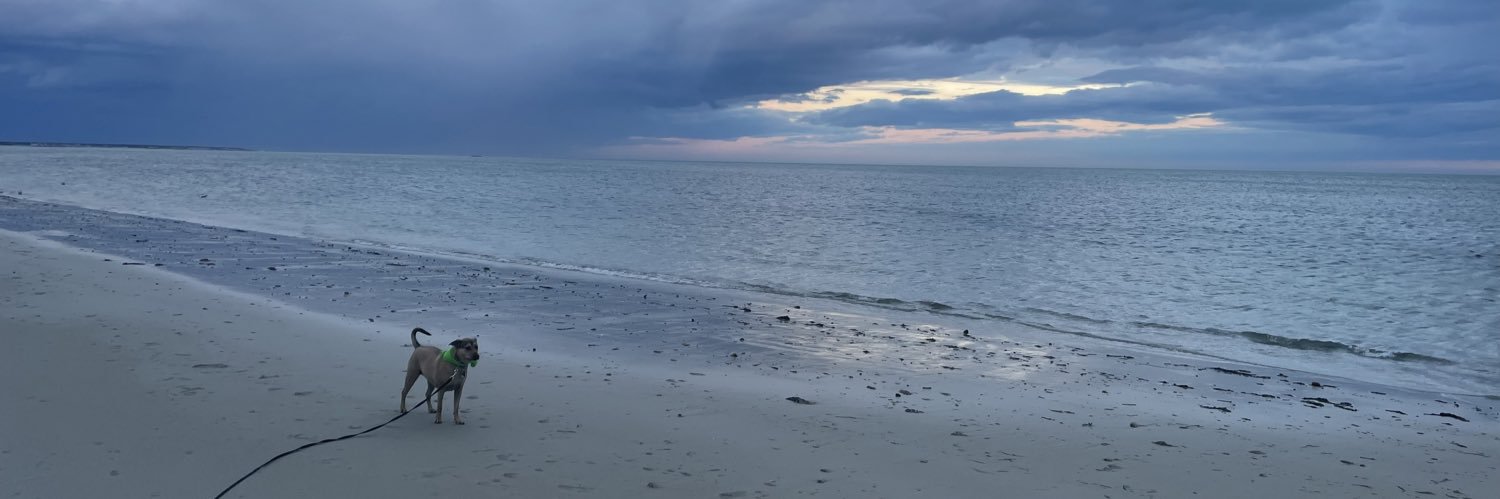 EleanorMae banner