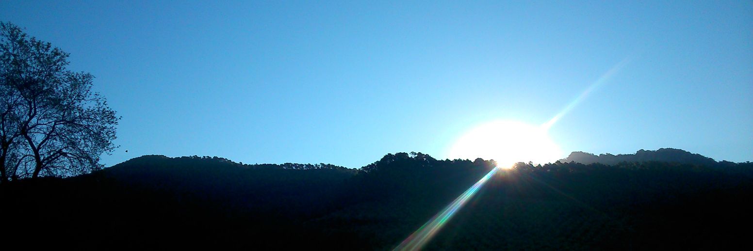 pcgalera's profile banner image