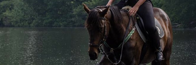 WalleElke's profile banner image