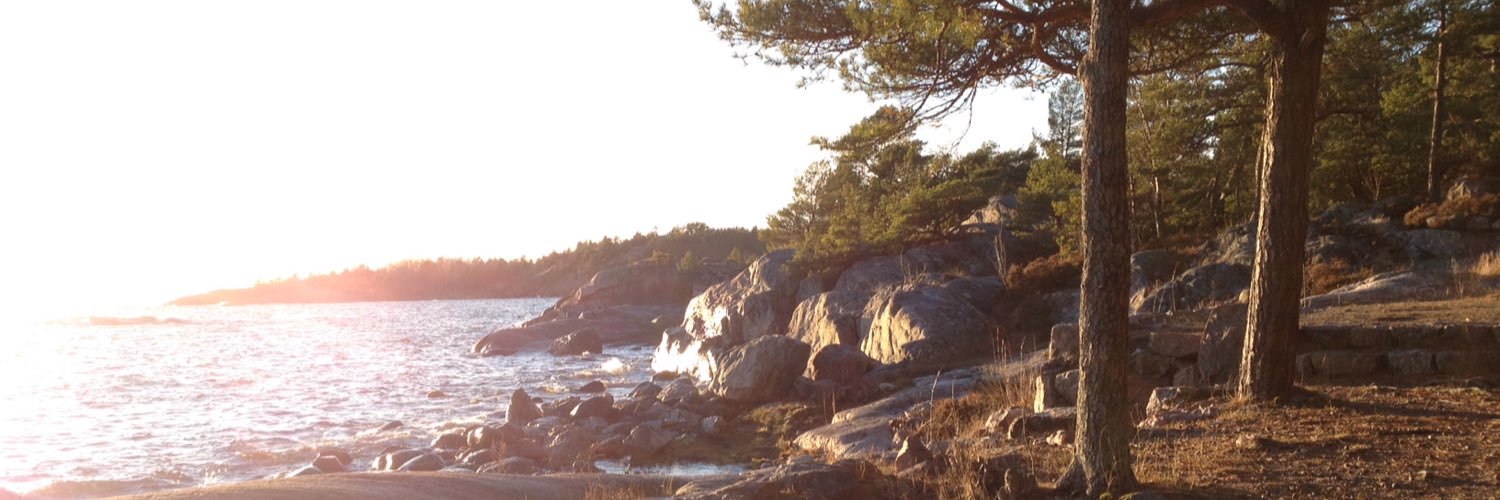 karin_sofie's profile banner image