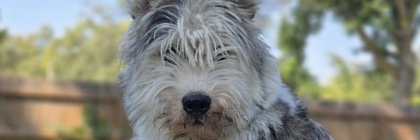 HariettCooper Profile Banner
