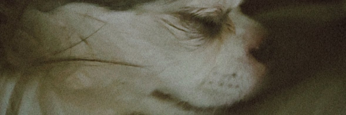 rabbitbowq's profile banner image