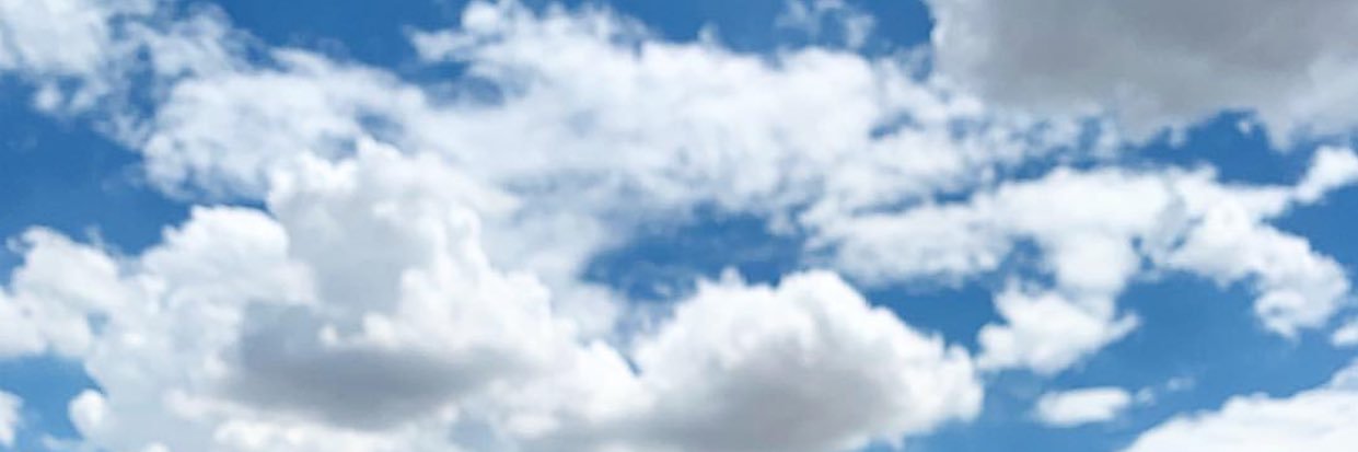 renatasaid's profile banner image