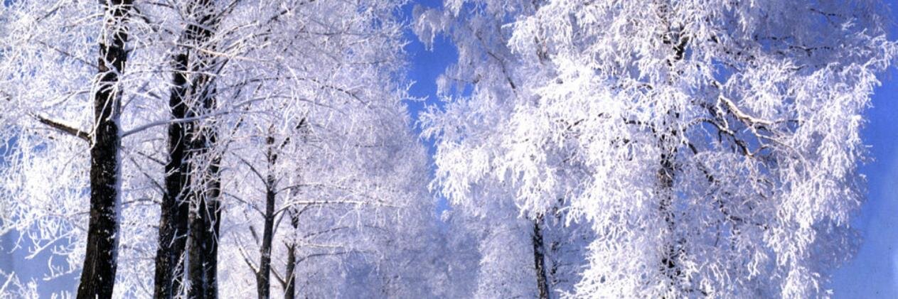 sdc9281's profile banner image