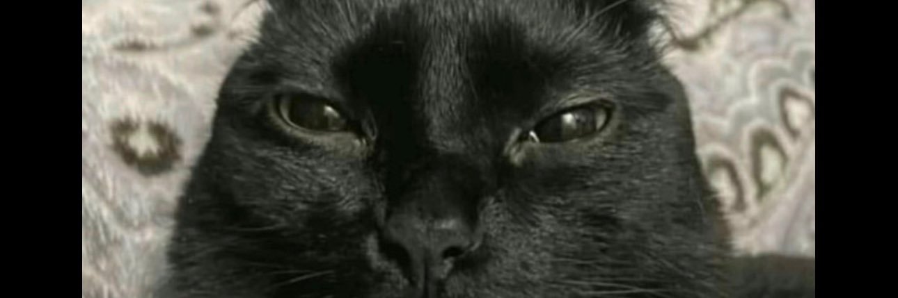 onlyacissej's profile banner image