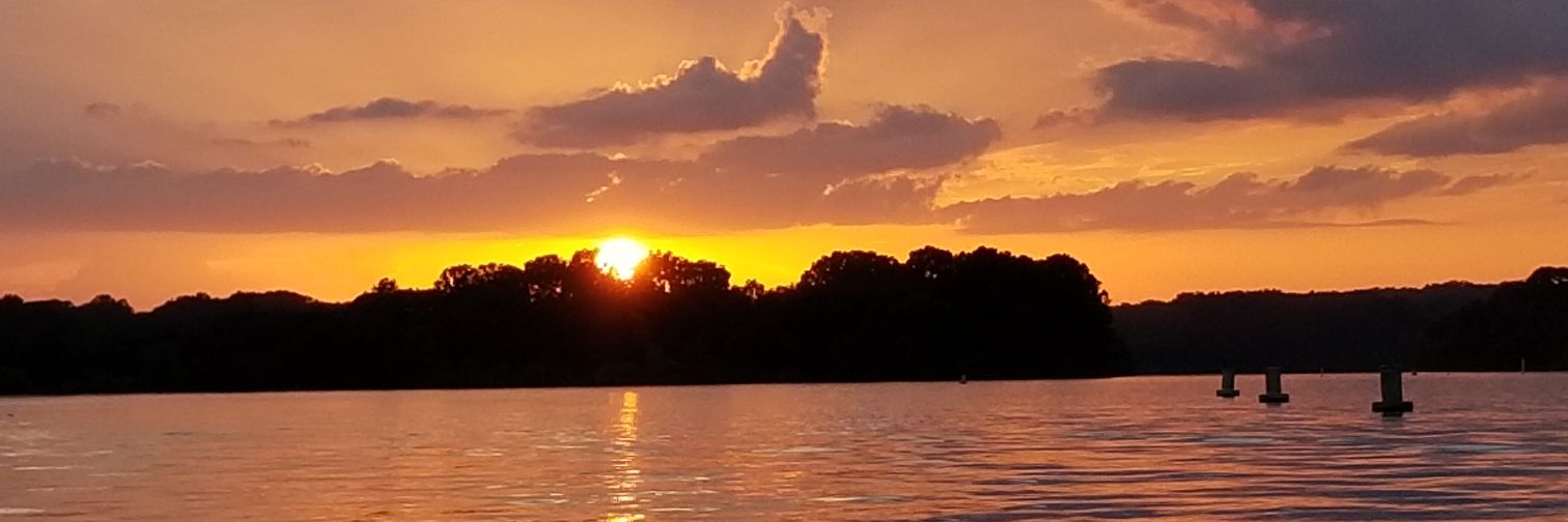 D3Roaton's profile banner image