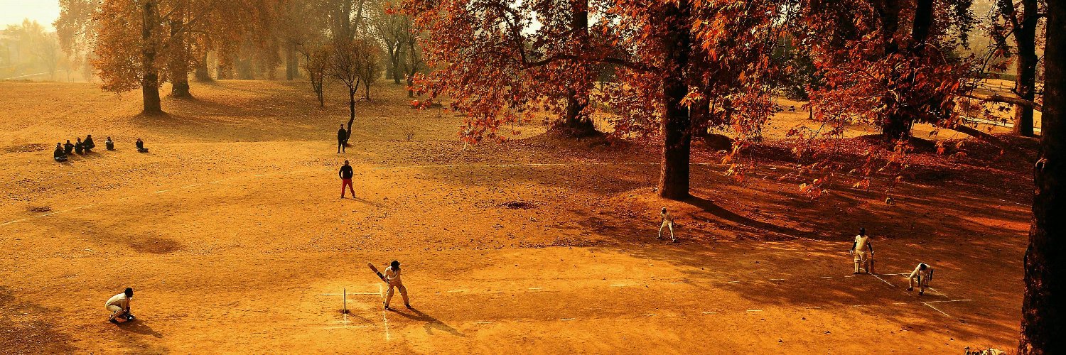 The Life and Times of Skywhalepagliacci banner