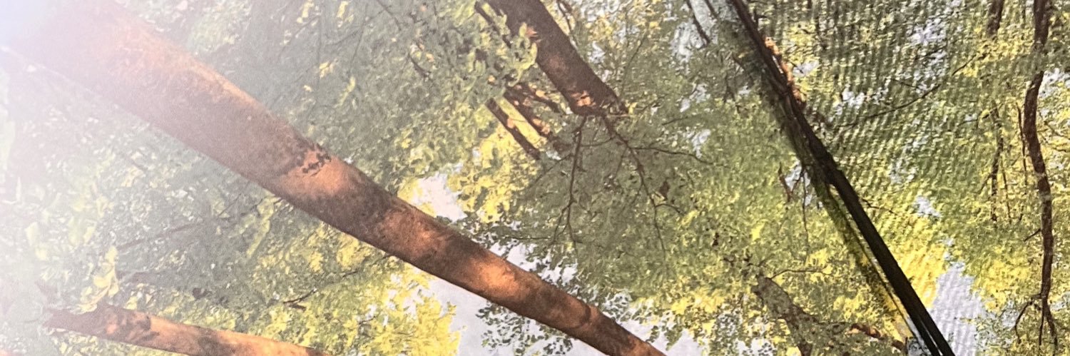 Martin Docherty-Hughes 🕊 banner