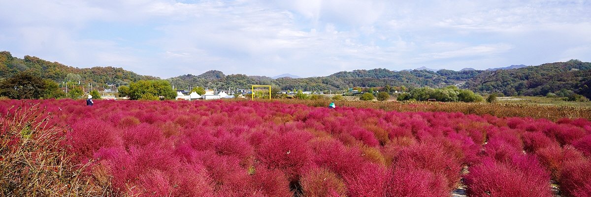 yangjunews's profile banner image