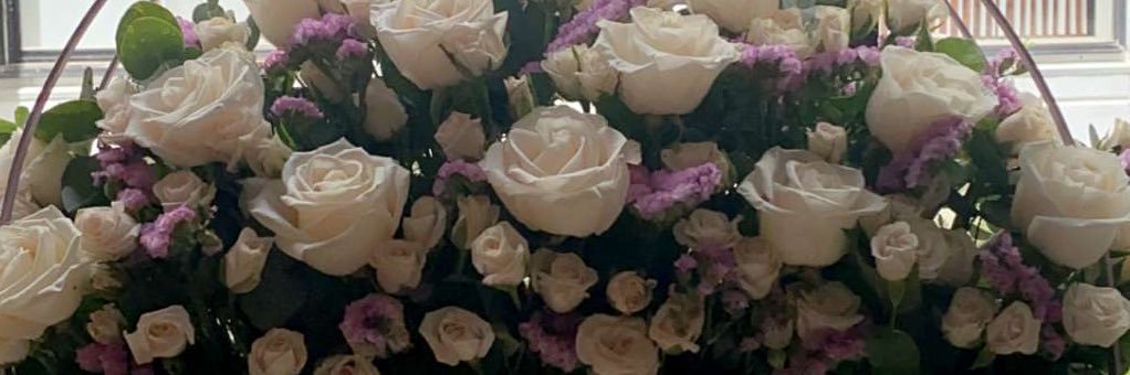 Safa Almahmeed banner