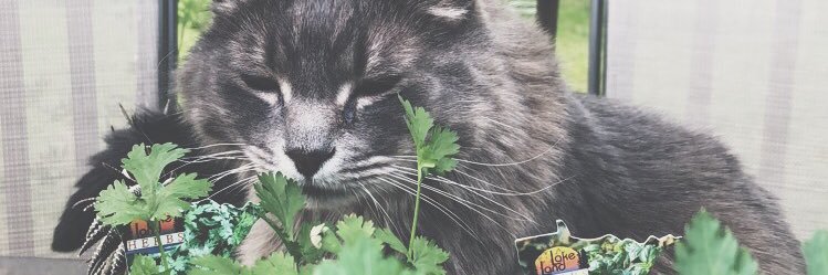 _BryceKelley_'s profile banner image