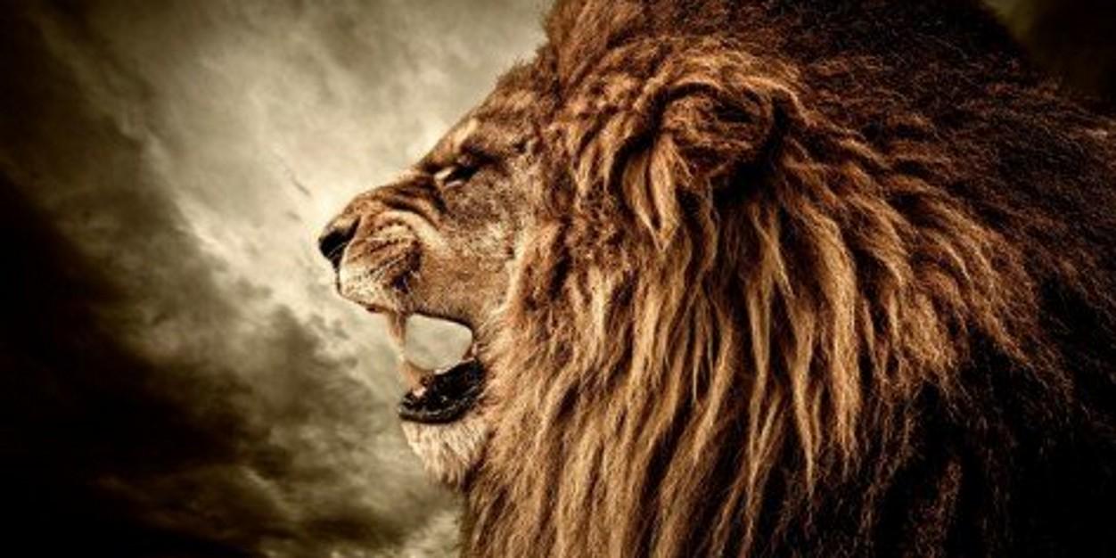 Singhsimbha's profile banner image