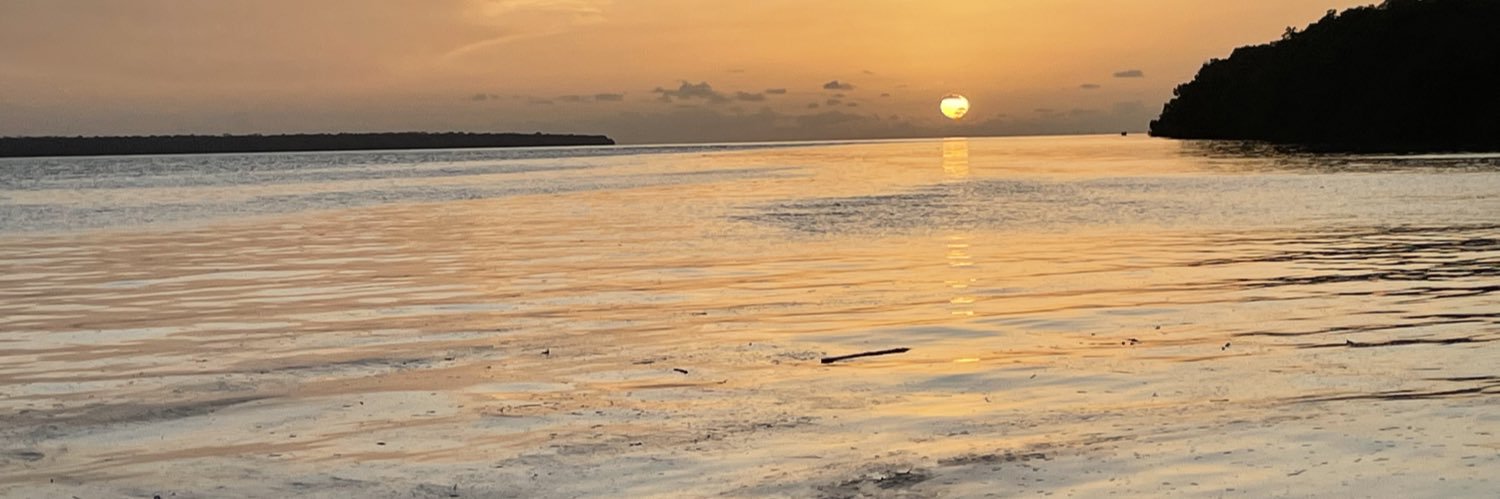 virendya's profile banner image