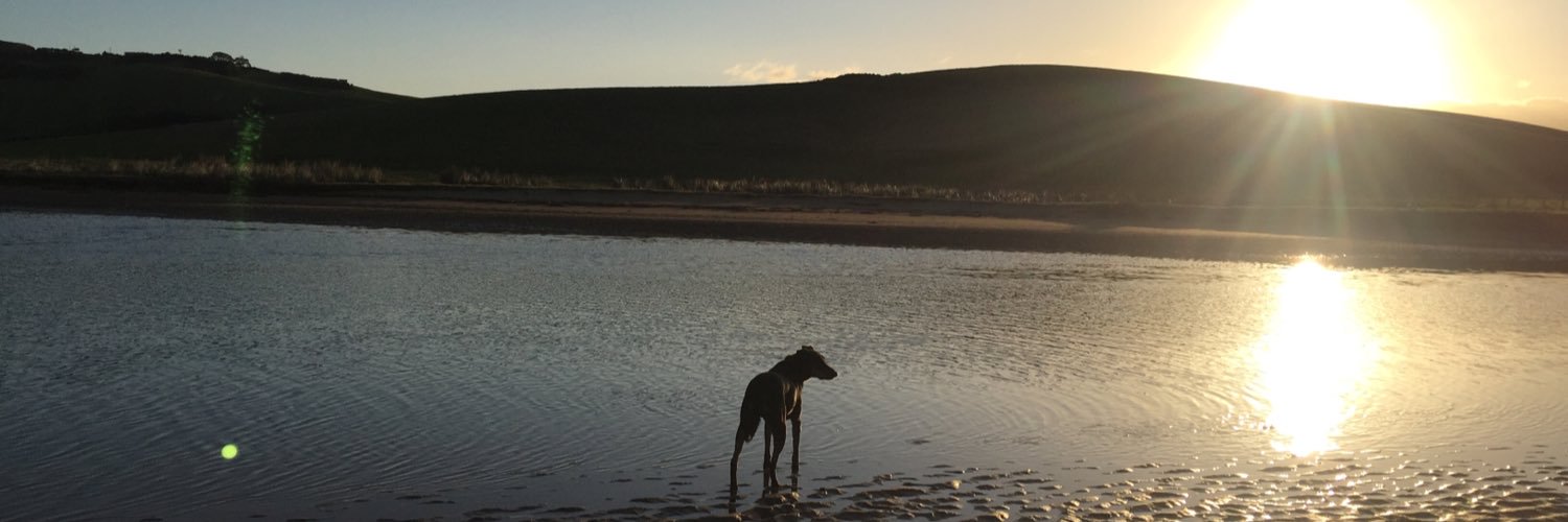 katetmac's profile banner image