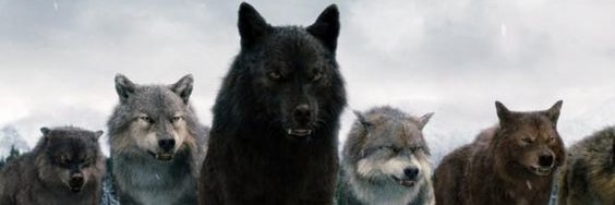 NeToRare3's profile banner image