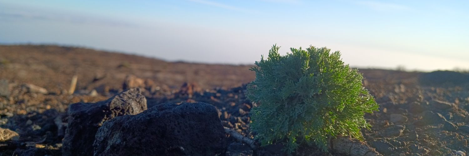 ENacimientoG's profile banner image