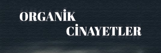 birkeresinde's profile banner image