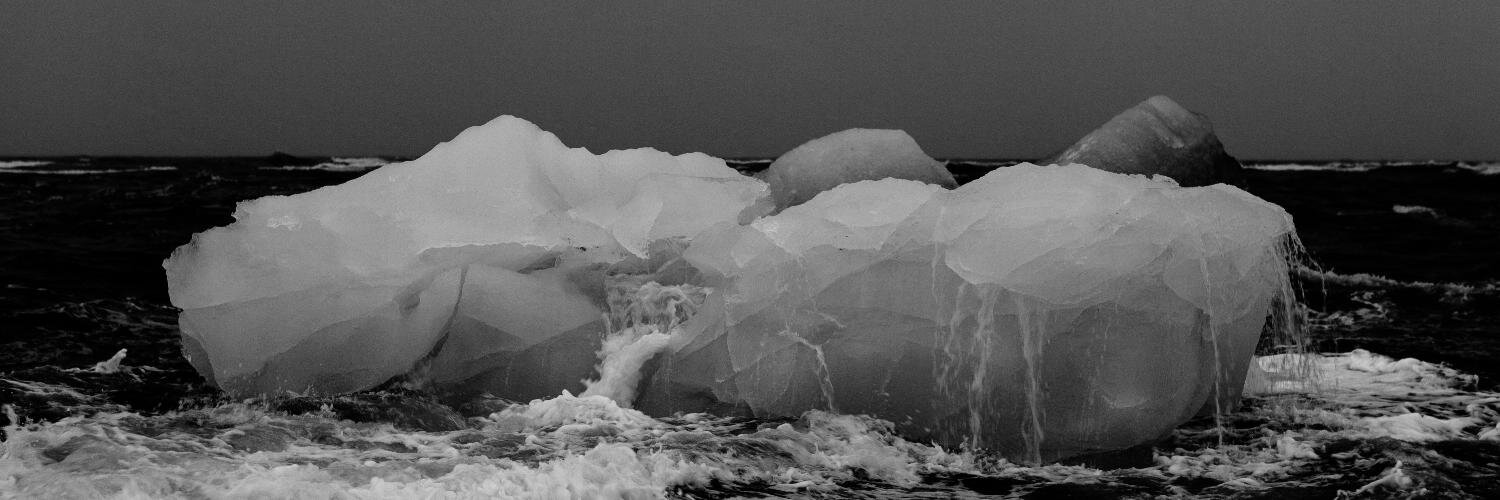 SwedishAlgae's profile banner image