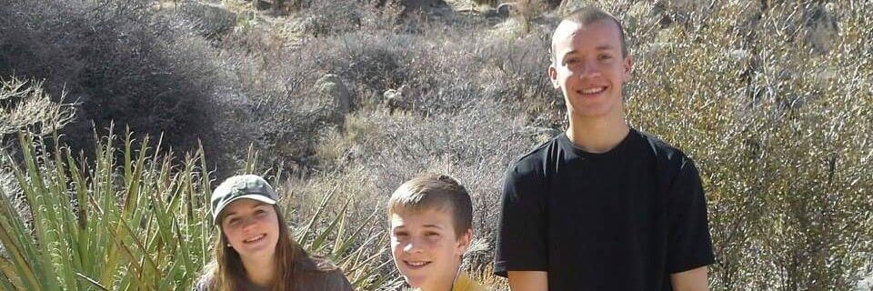 Timviehmann's profile banner image