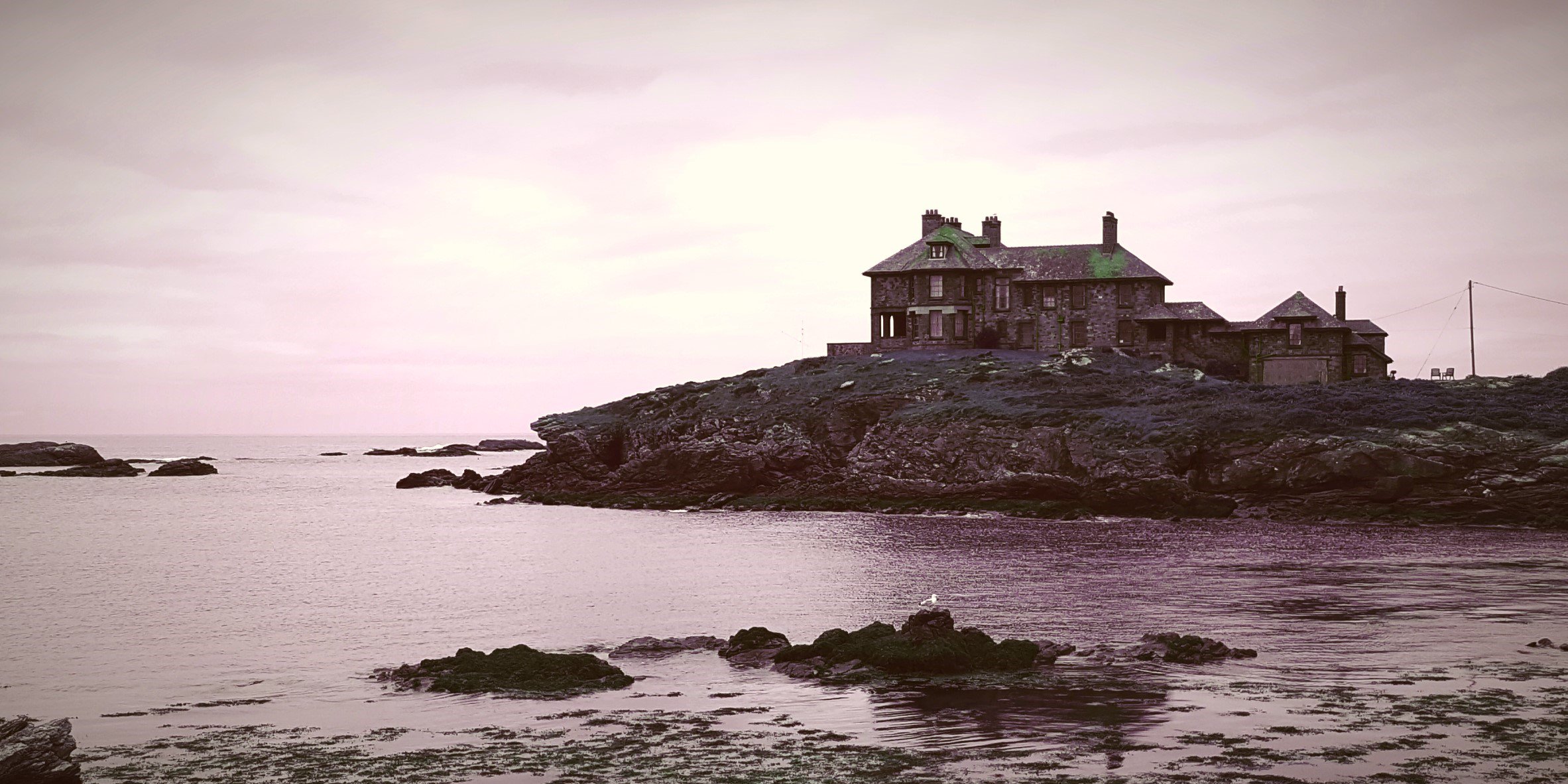 Sarah Stevens Howard banner